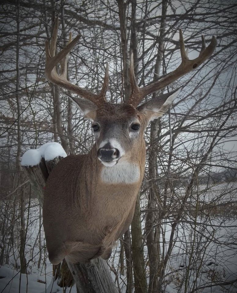 17016903_705447469634543_2526335084796137147_o.jpg 17016903_705447469634543_2526335084796137147_o.jpg