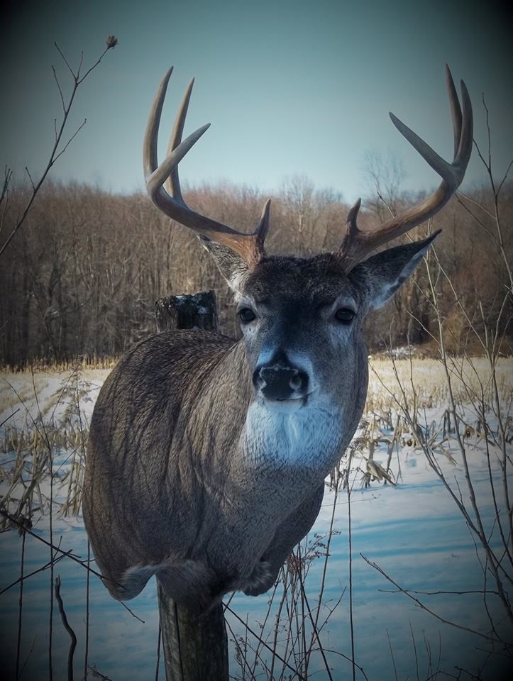 17021963_705983116247645_8752479278016865876_n.jpg 17021963_705983116247645_8752479278016865876_n.jpg