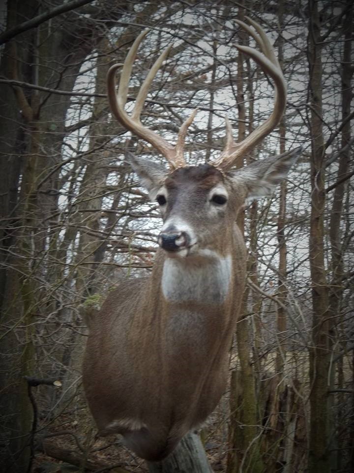 17022179_703601333152490_4124657517221897084_n.jpg 17022179_703601333152490_4124657517221897084_n.jpg