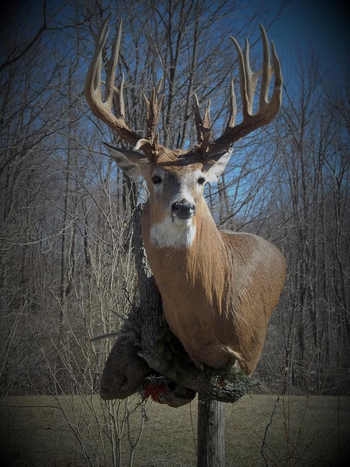 17425973_716583355187621_2985573315210501575_n.jpg 17425973_716583355187621_2985573315210501575_n.jpg