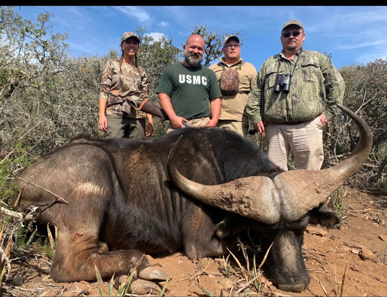 Dold-Buffalo.jpg Dold-Buffalo.jpg