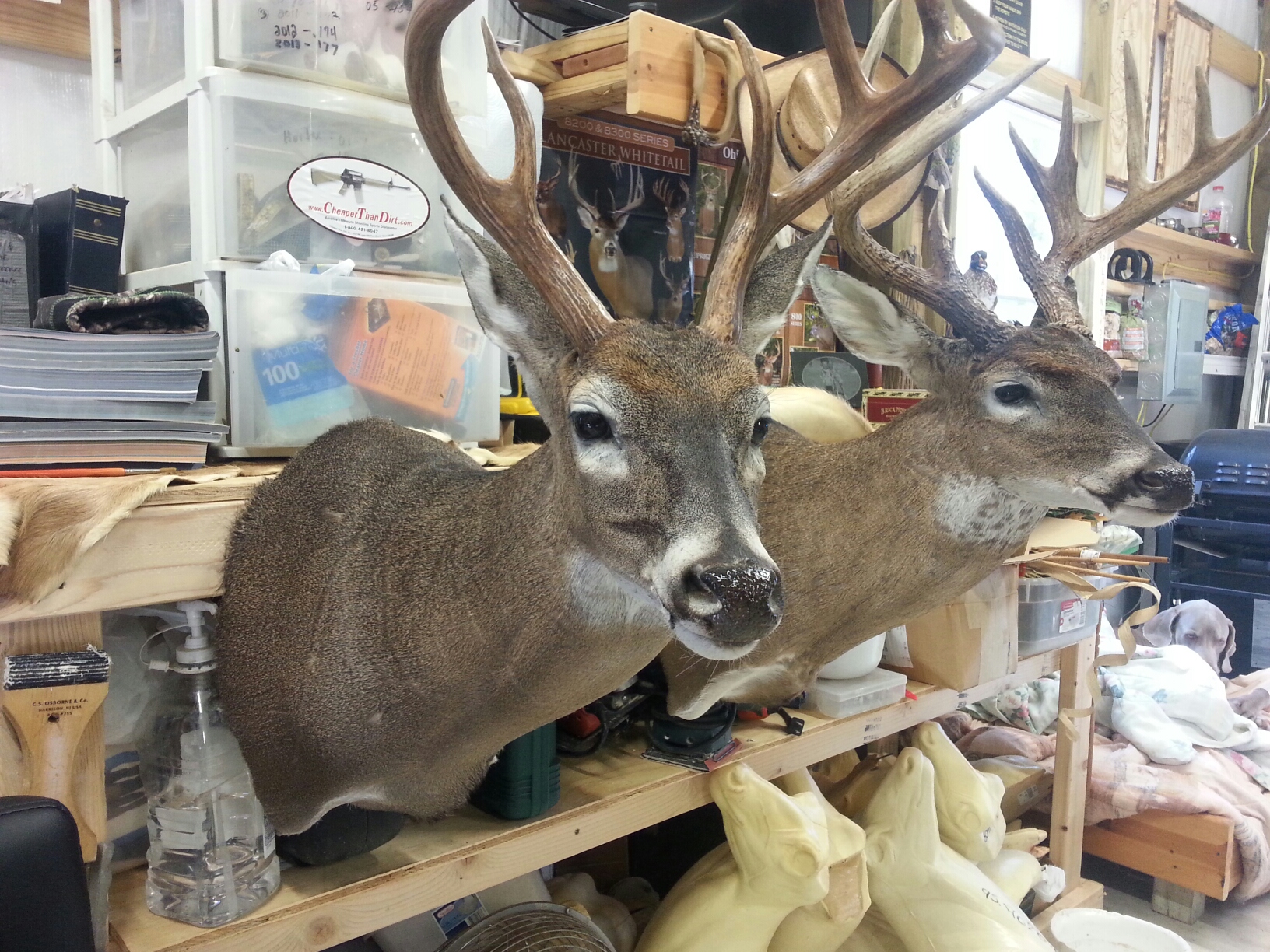 20160123_103421-2.jpeg 20160123_103421-2.jpeg