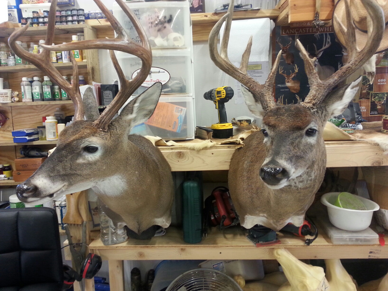 20160123_103440.jpeg 20160123_103440.jpeg