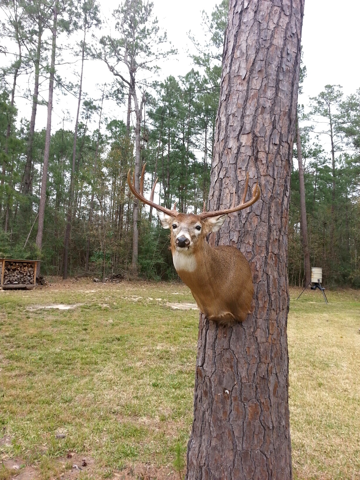 20160202_111415.jpeg 20160202_111415.jpeg