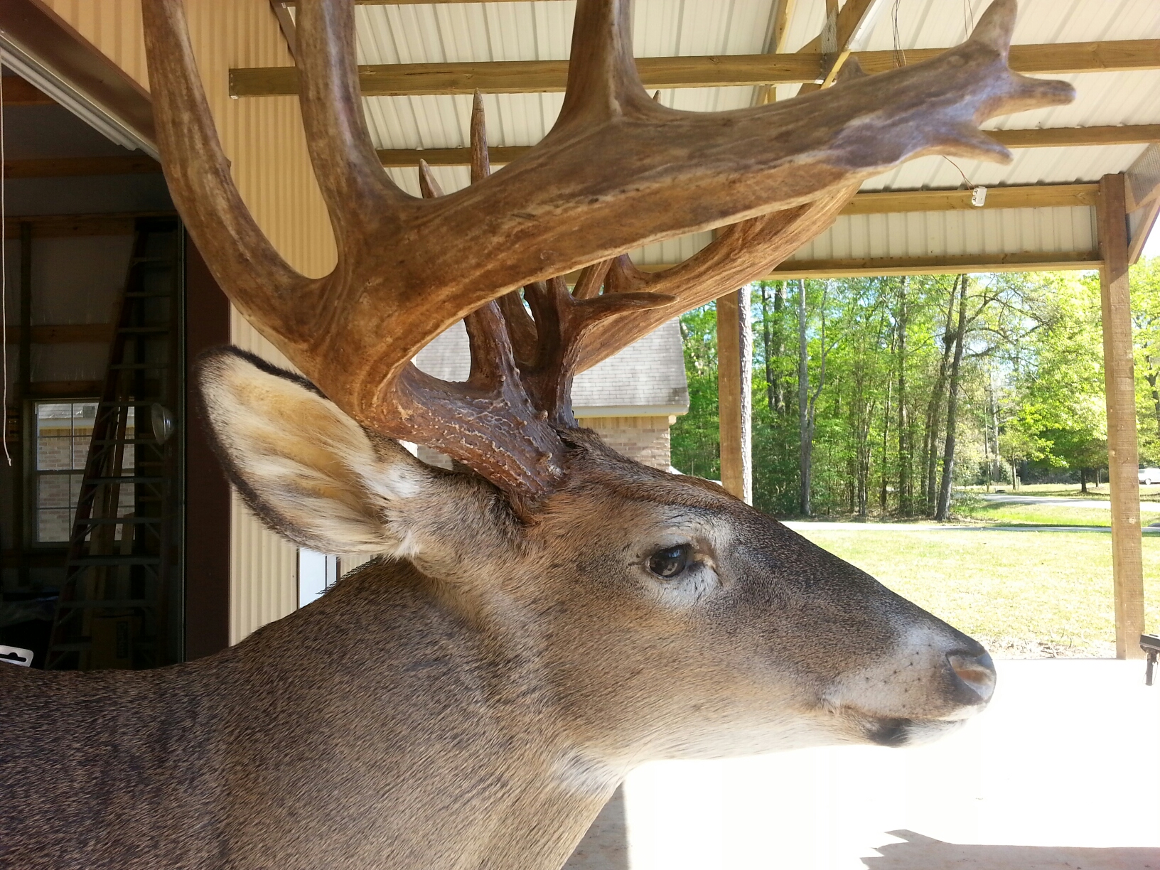 score1.jpeg score1.jpeg