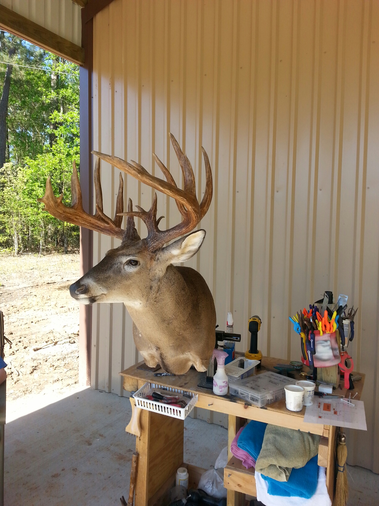 score2.jpeg score2.jpeg