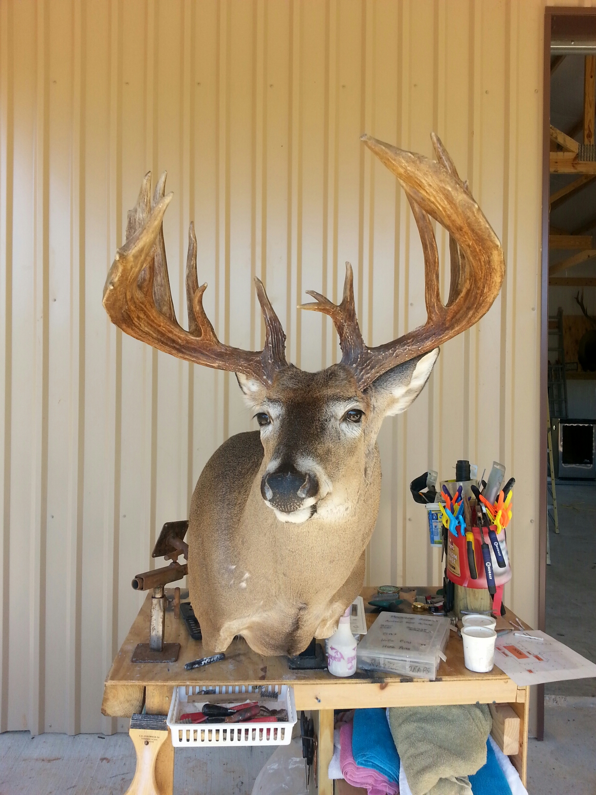 score3.jpeg score3.jpeg