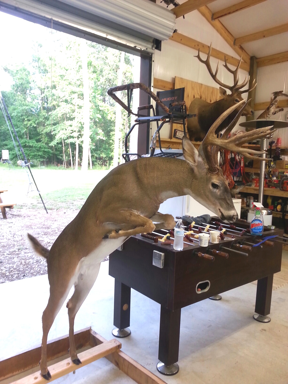 20160505_190107.jpeg 20160505_190107.jpeg