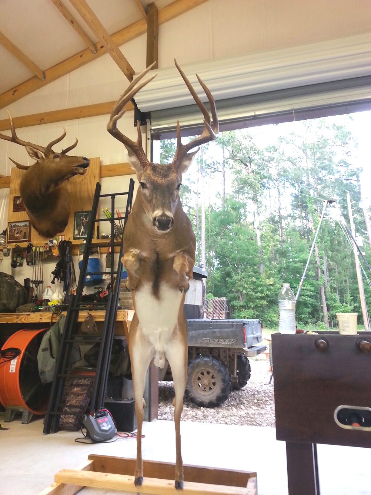 20160505_190128-2.jpeg 20160505_190128-2.jpeg