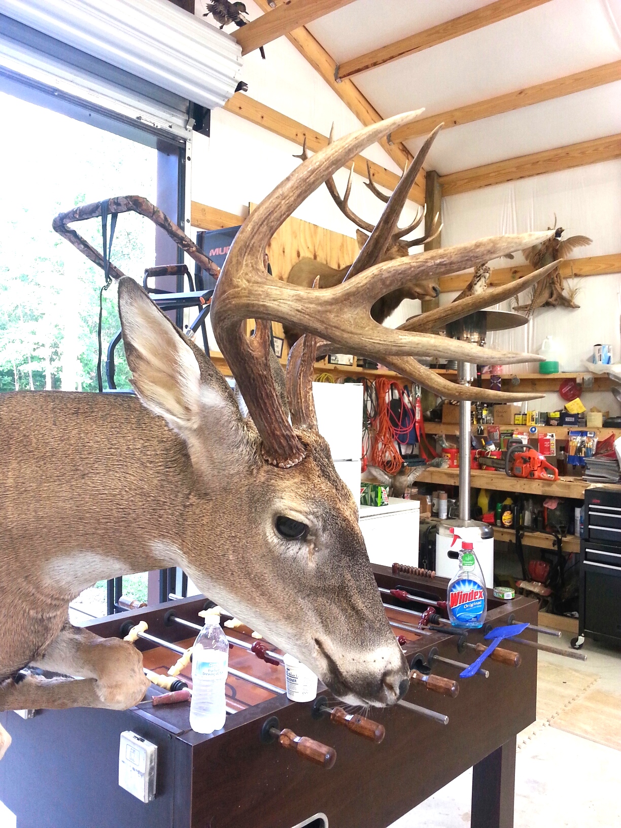 20160505_190210-2.jpeg 20160505_190210-2.jpeg