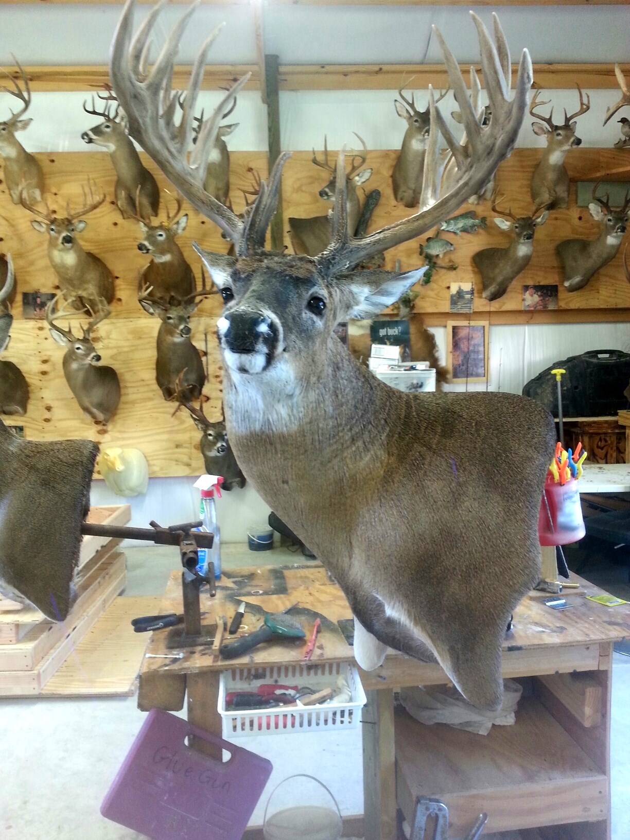 200-incher-2.jpeg 200-incher-2.jpeg