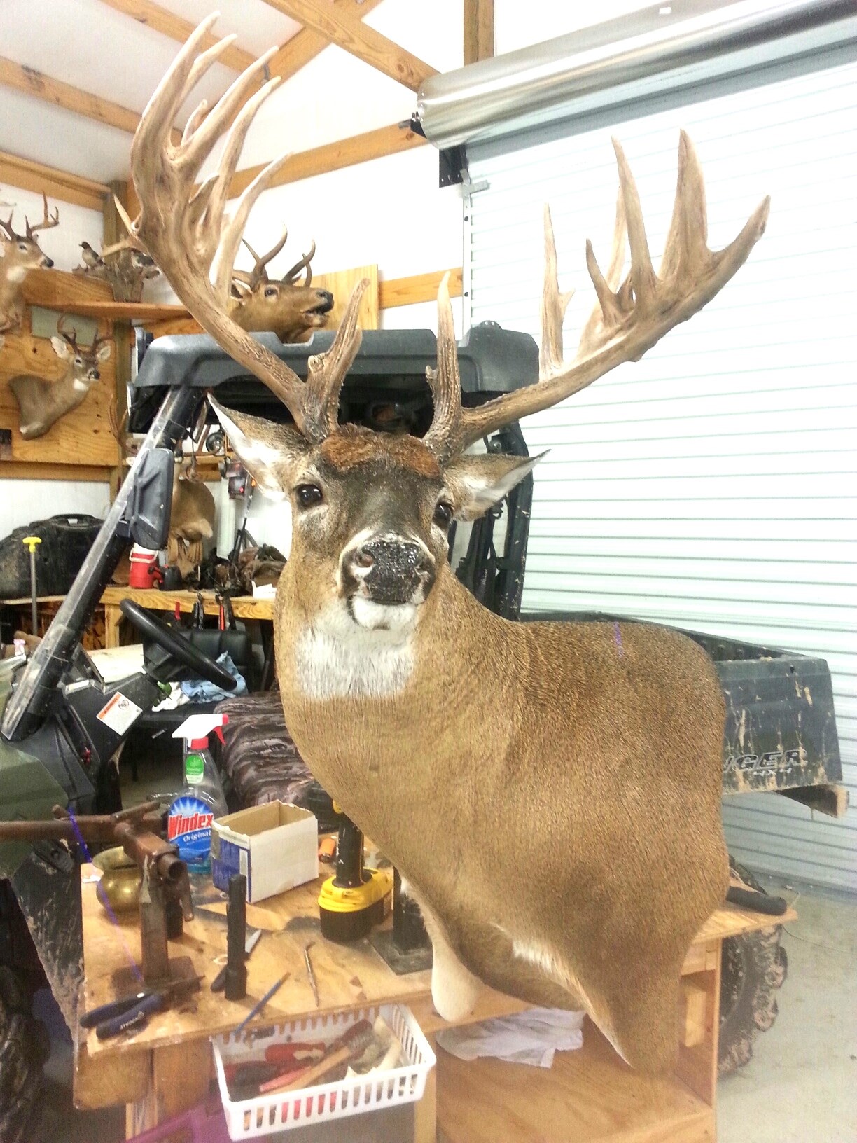 200-incher.jpeg 200-incher.jpeg