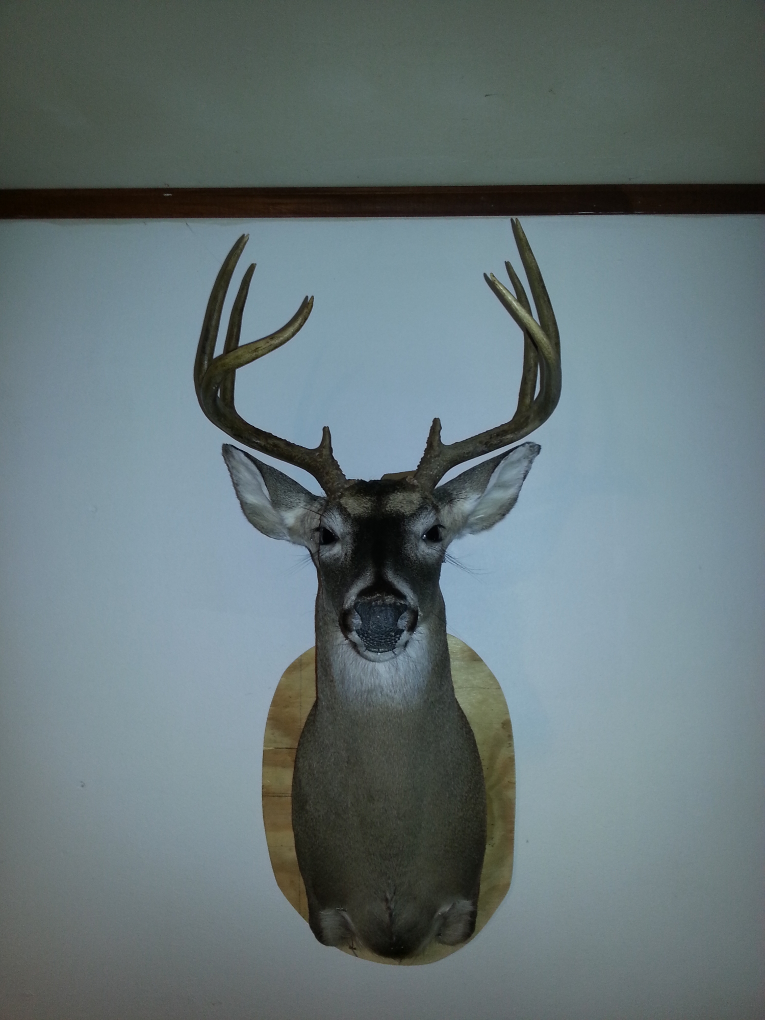 20150219_161417.jpg 20150219_161417.jpg