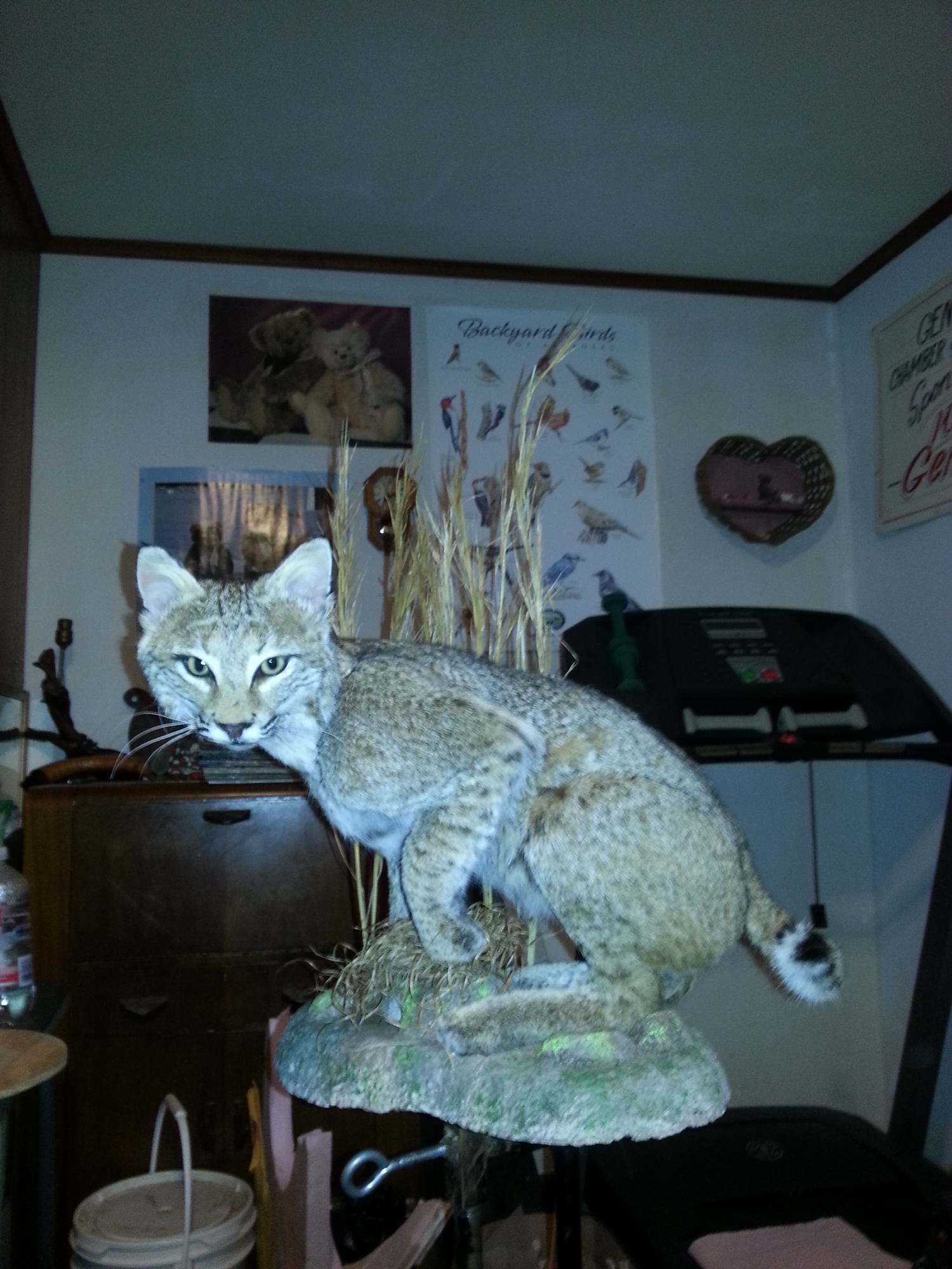 20150402_201349.jpg 20150402_201349.jpg