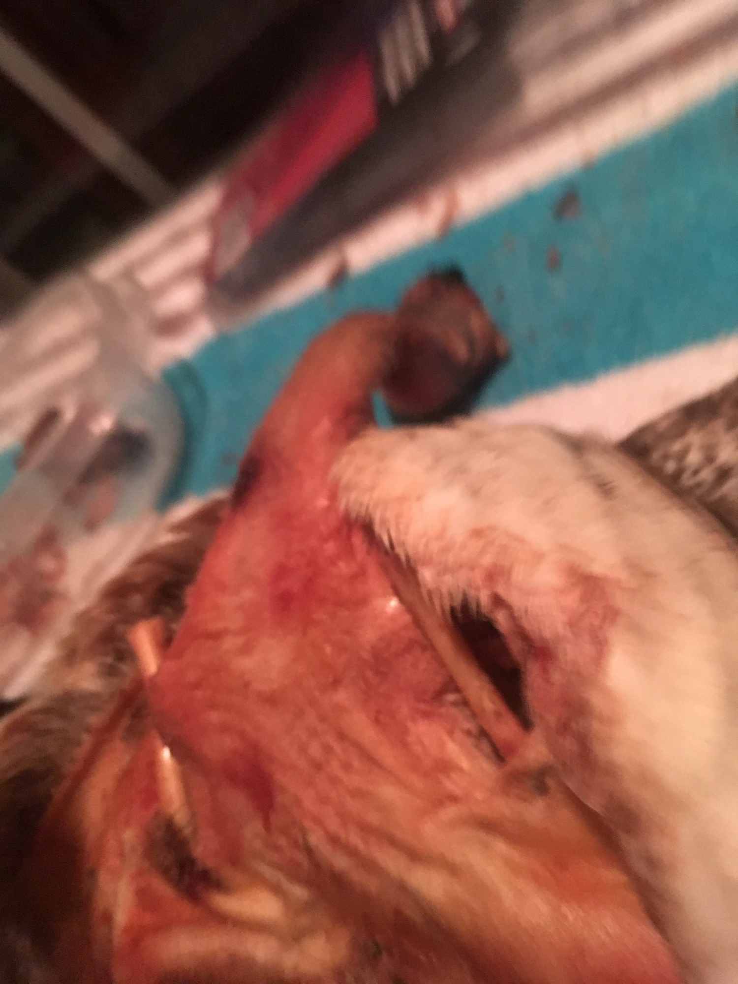 IMG_4416-3.jpg IMG_4416-3.jpg