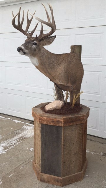 Mutrie-3-1.jpg Mutrie-3-1.jpg