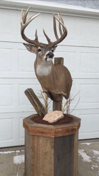 Mutrie22-1.jpg Mutrie22-1.jpg