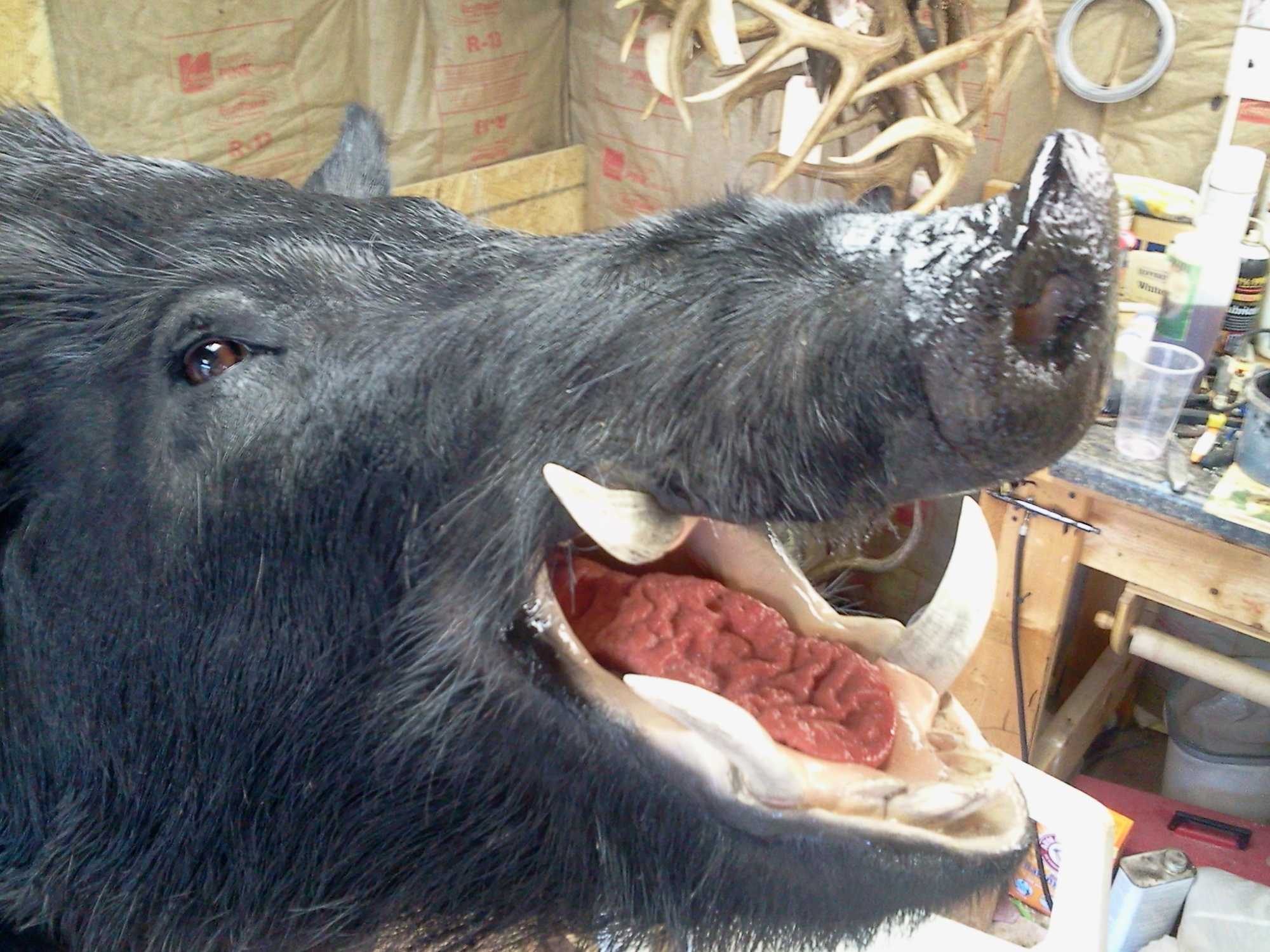 2013-12-04-14.53.31.jpg 2013-12-04-14.53.31.jpg