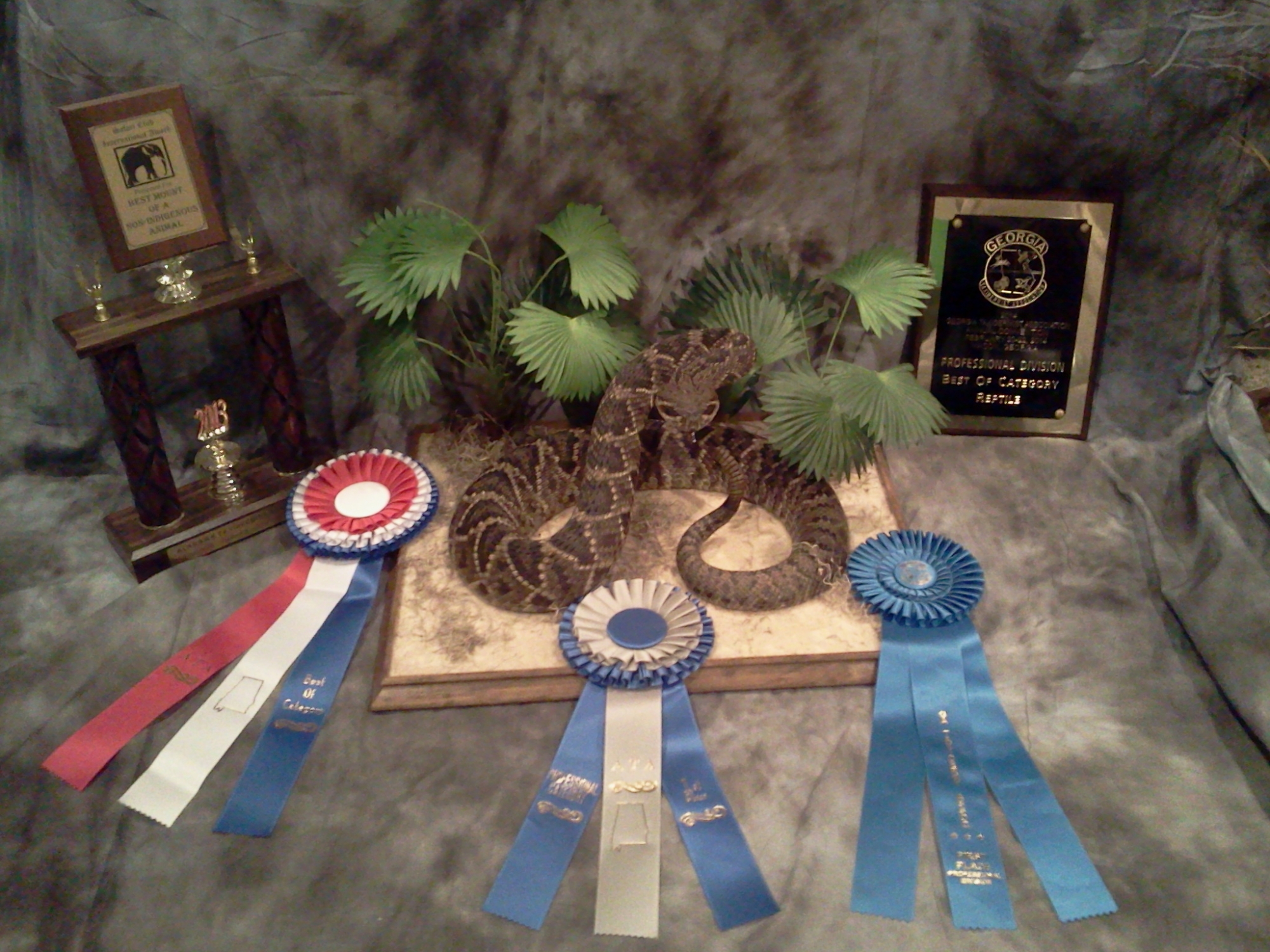 2014-02-27-22.14.54.jpg 2014-02-27-22.14.54.jpg