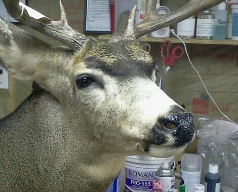 2014-04-08-22.55.36-1-1.jpg 2014-04-08-22.55.36-1-1.jpg