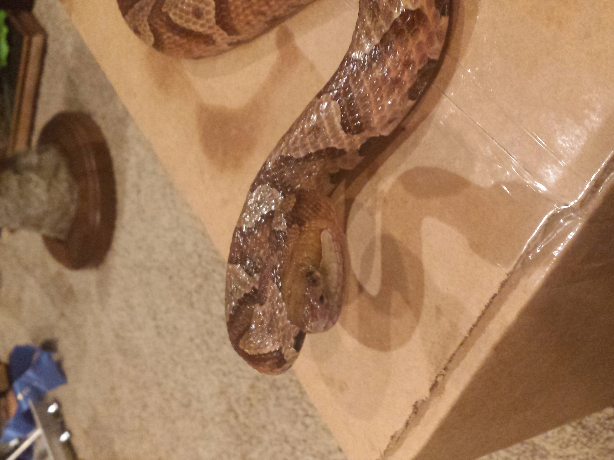 20150116_001207.jpg 20150116_001207.jpg