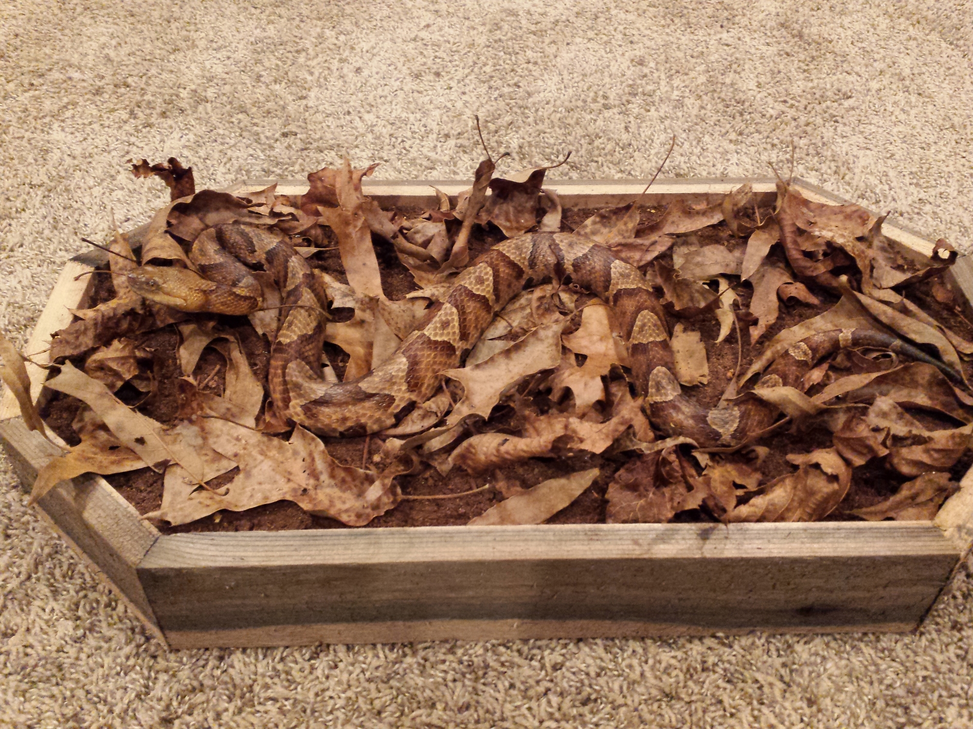 20150216_215807.jpg 20150216_215807.jpg