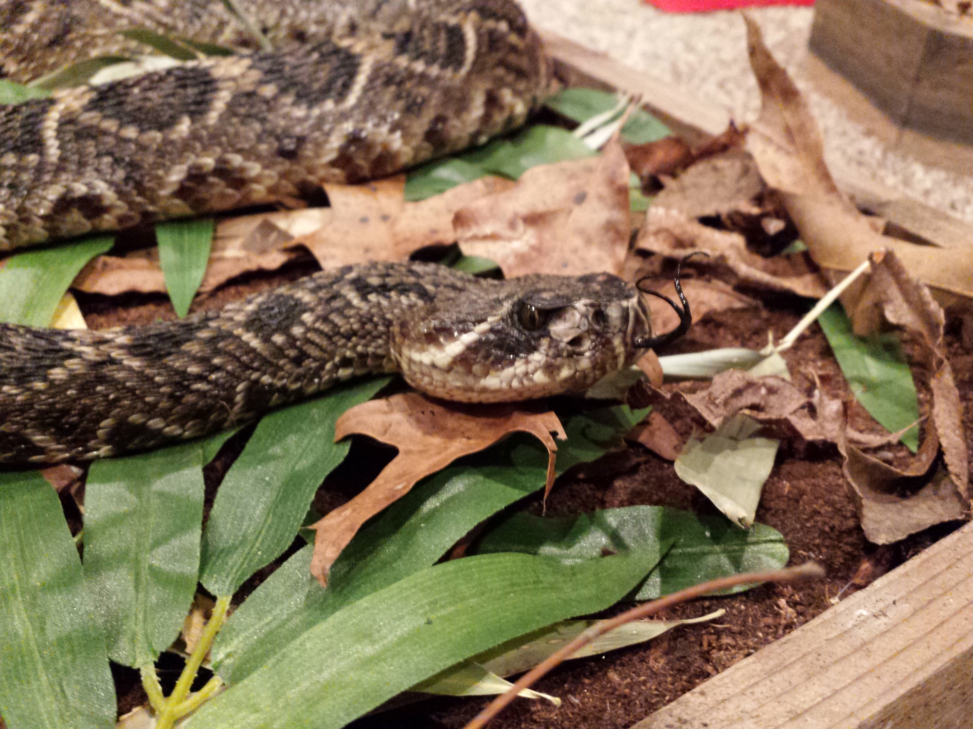 20150216_215911.jpg 20150216_215911.jpg