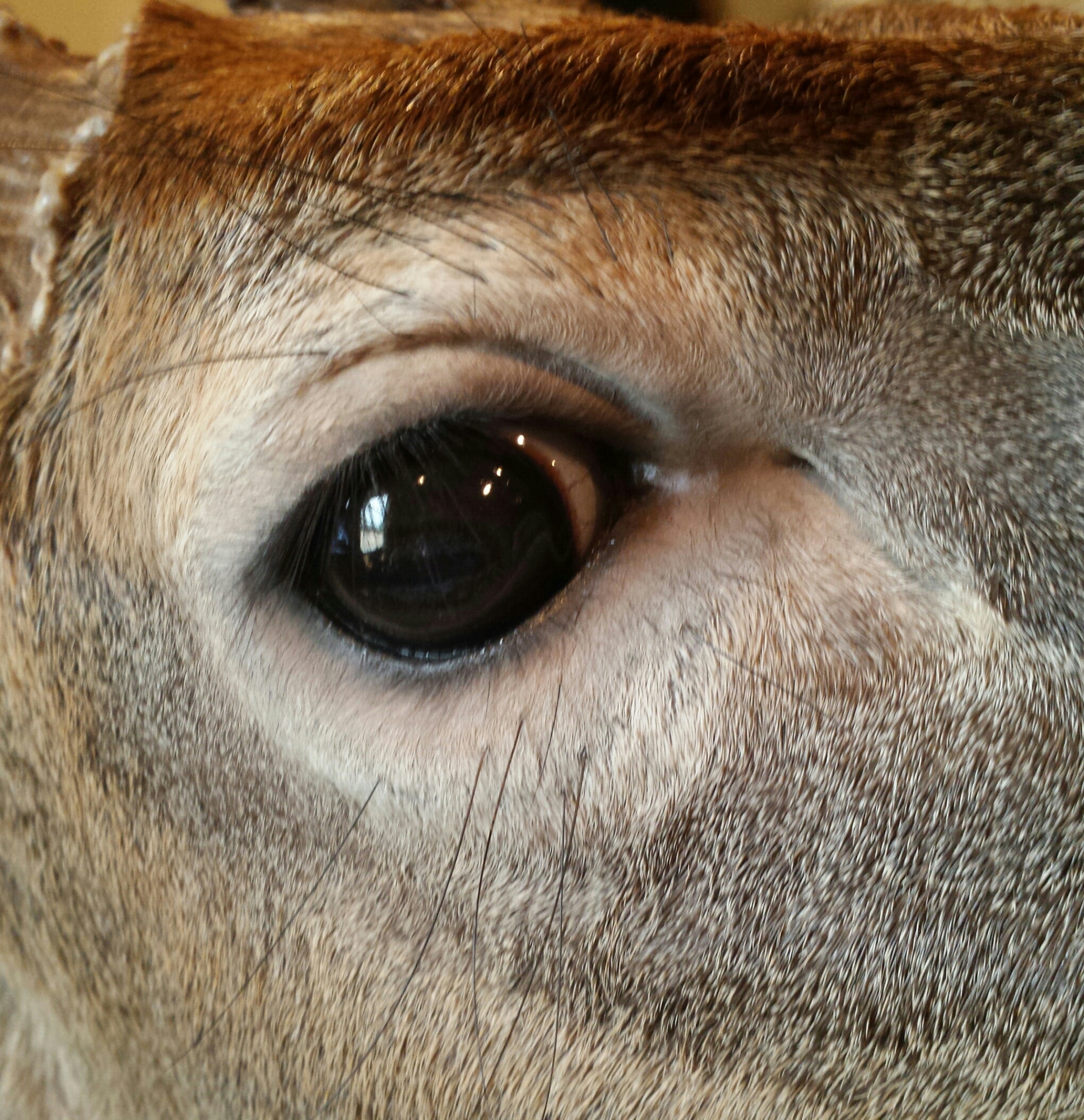 20150217_144035-1-1-1.jpg 20150217_144035-1-1-1.jpg