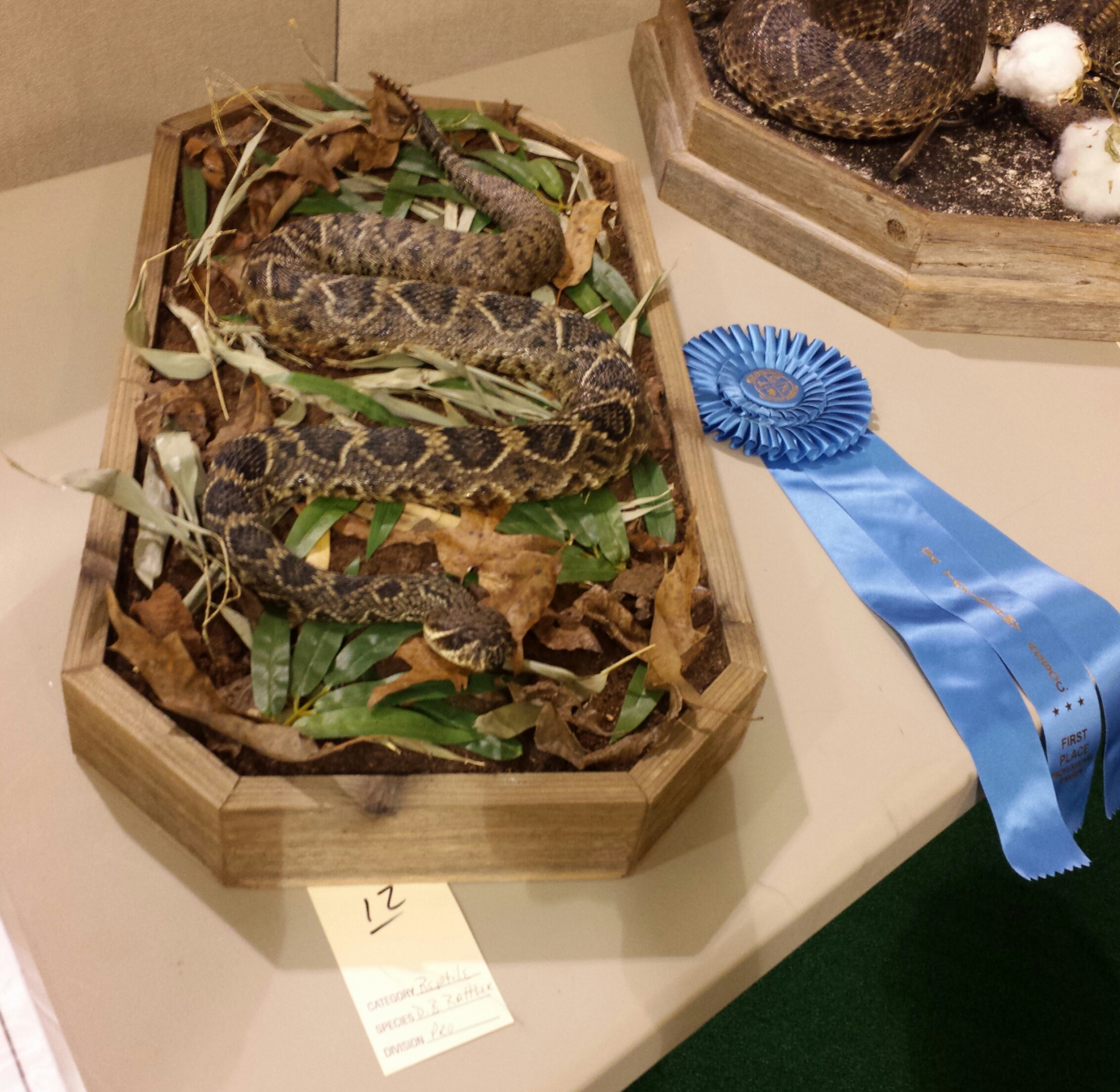 20150220_225024-1-2.jpg 20150220_225024-1-2.jpg