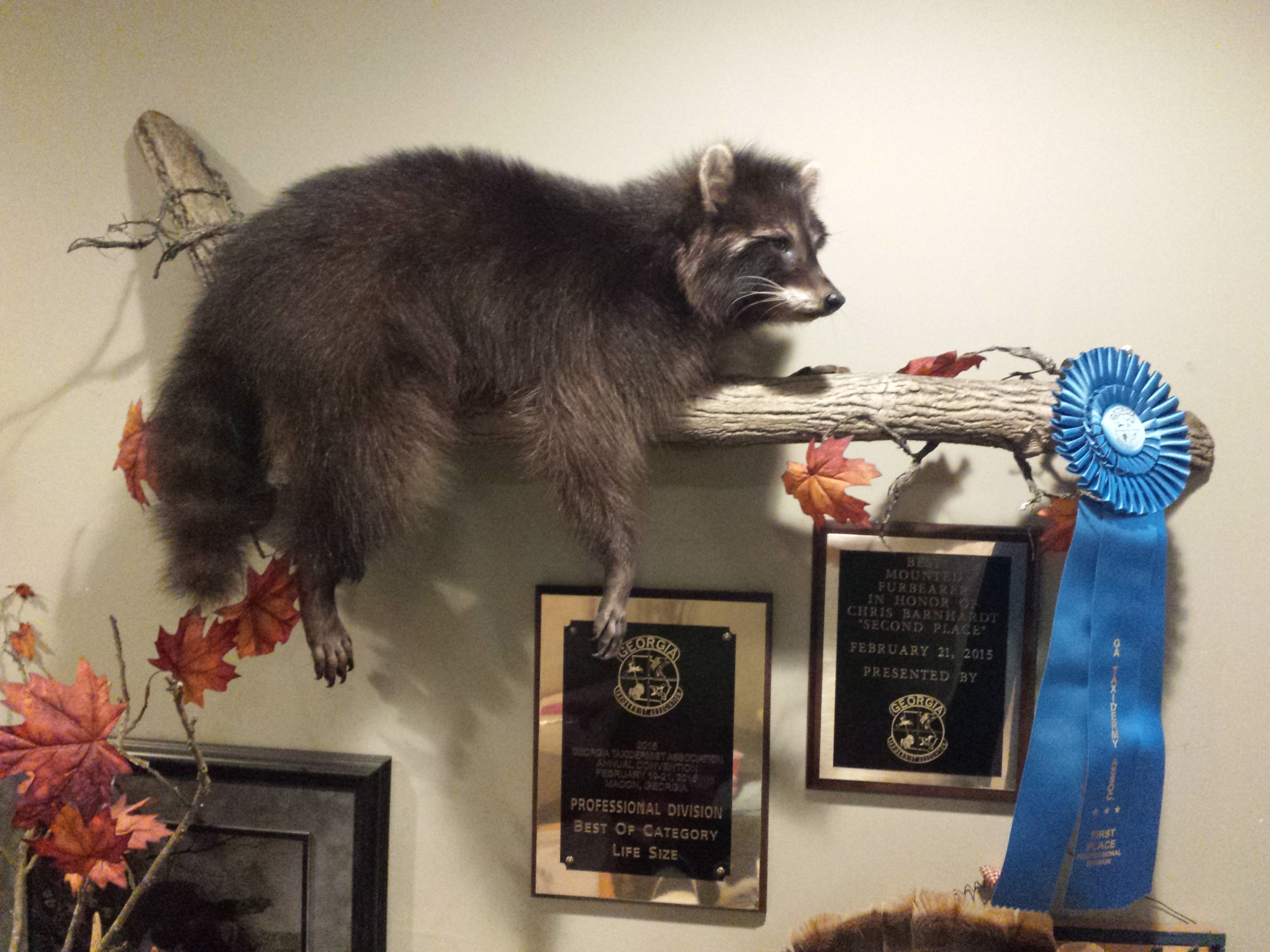 20150222_160552.jpg 20150222_160552.jpg