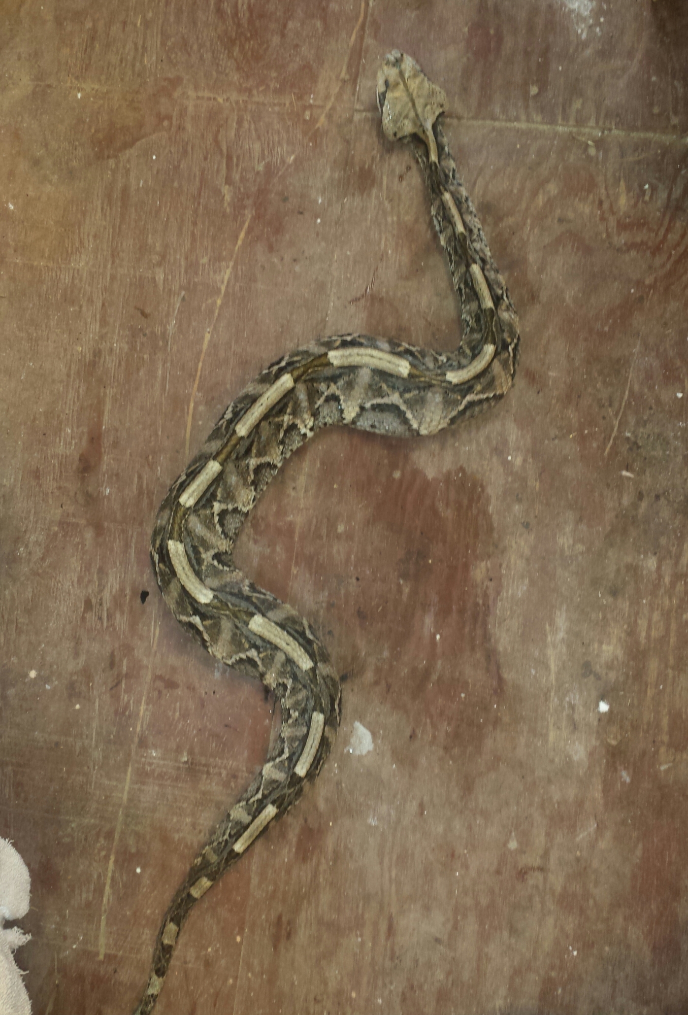 20150313_123833-1.jpg 20150313_123833-1.jpg