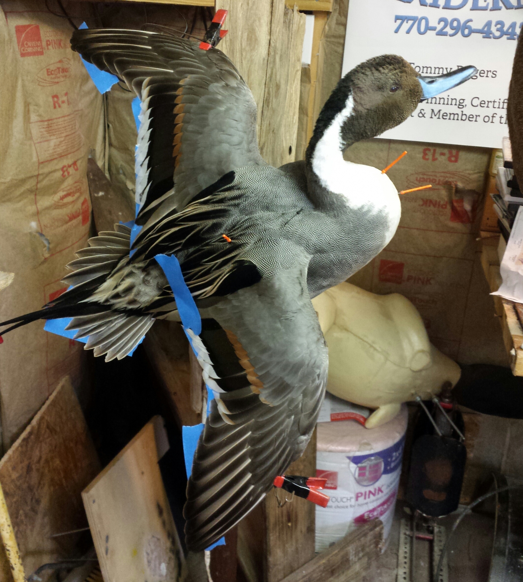 20150420_150828-1.jpg 20150420_150828-1.jpg