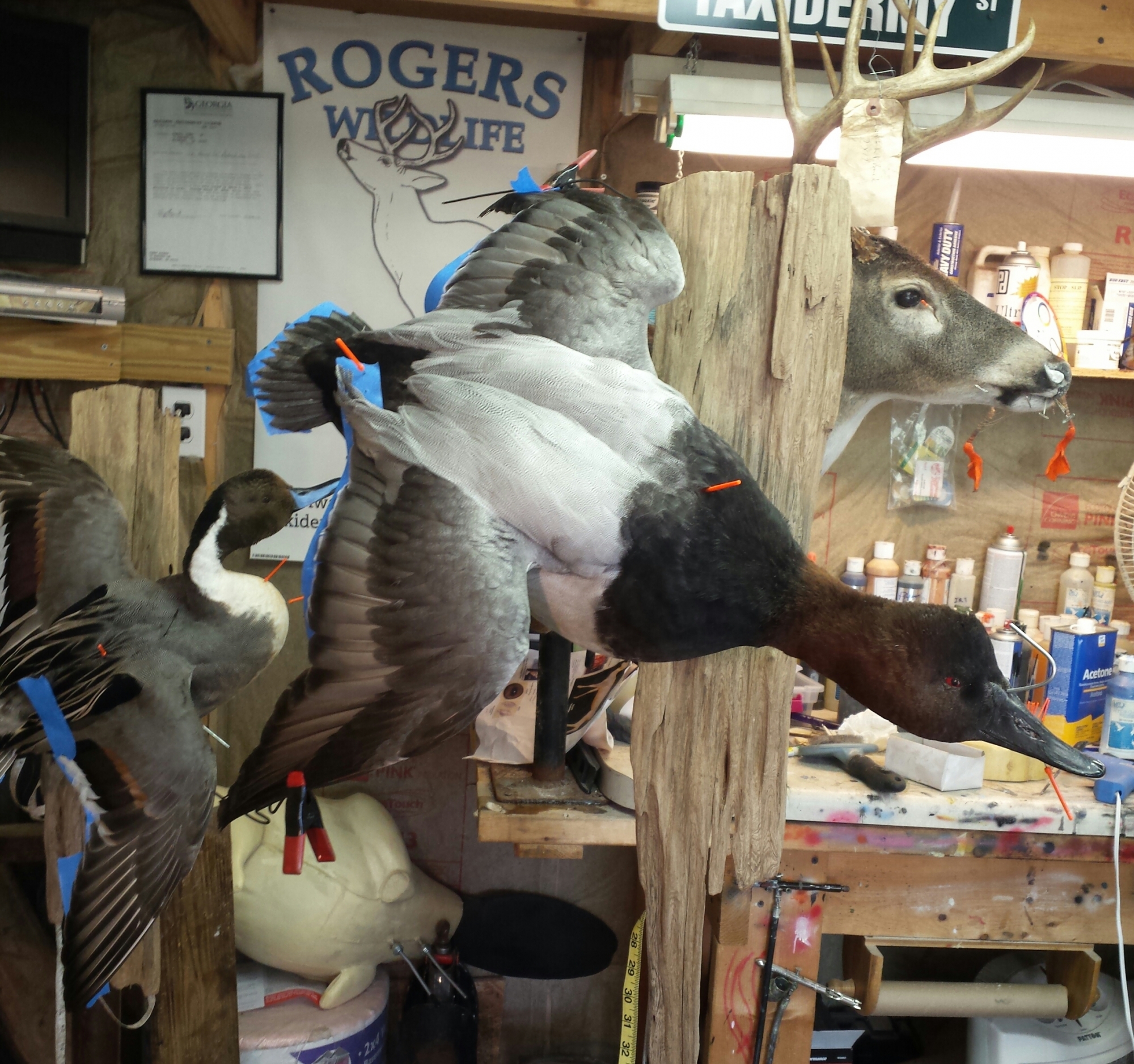 20150420_180720-1.jpg 20150420_180720-1.jpg