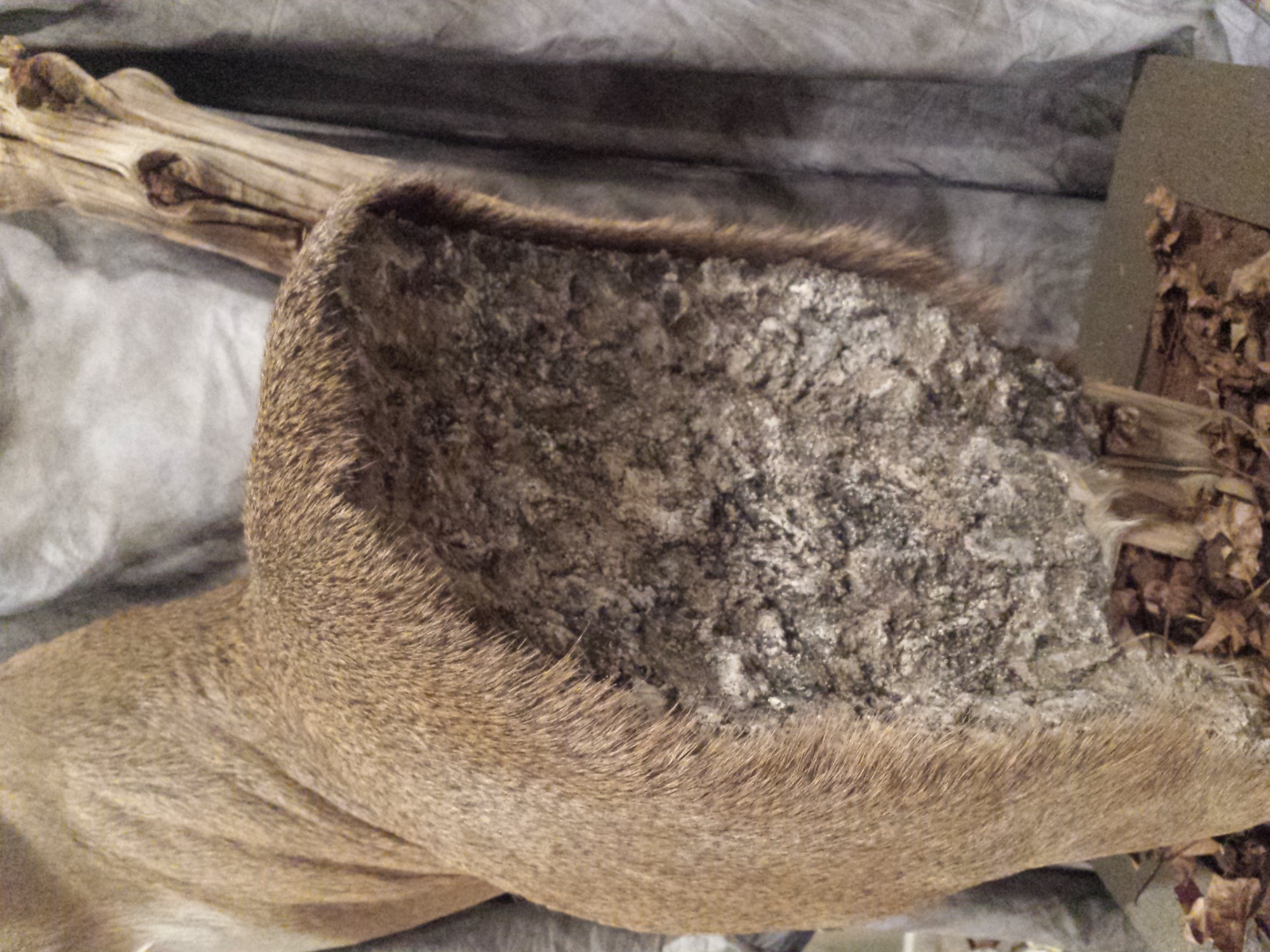 20150607_211643.jpg 20150607_211643.jpg