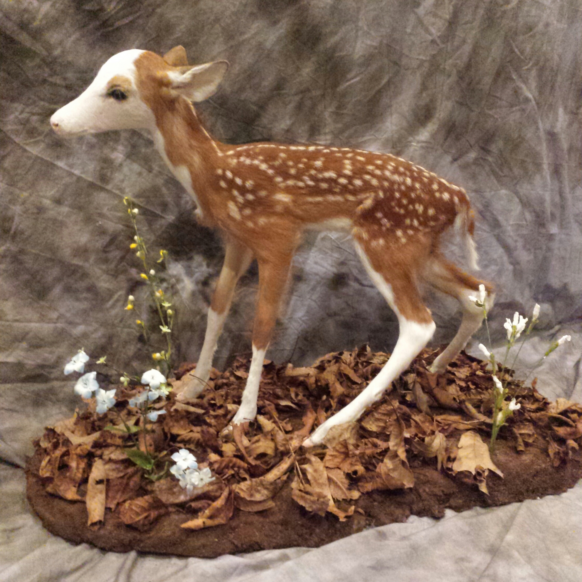 20150725_213027-1.jpg 20150725_213027-1.jpg