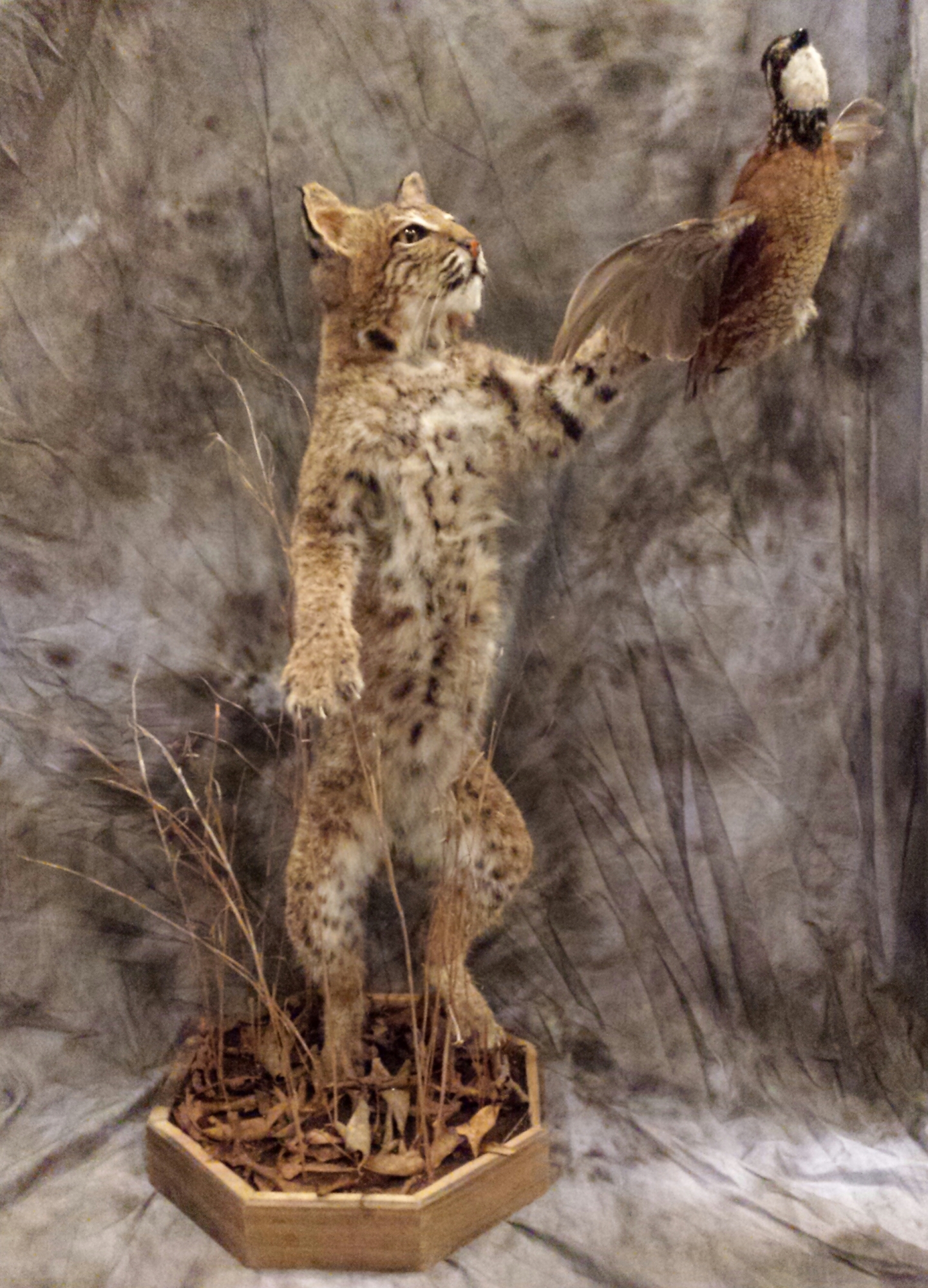 20150910_202426-1.jpg 20150910_202426-1.jpg