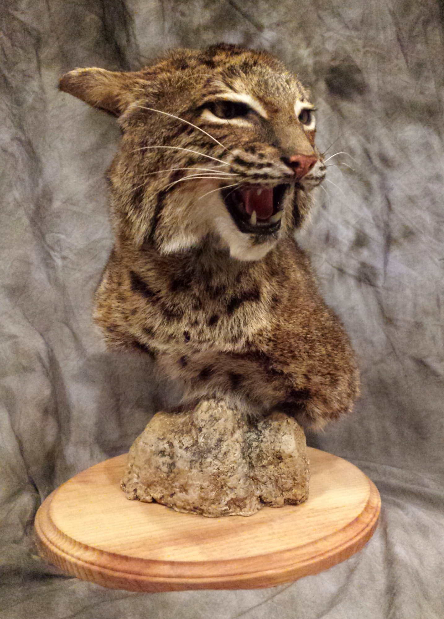 20151129_175845-1-1.jpg 20151129_175845-1-1.jpg