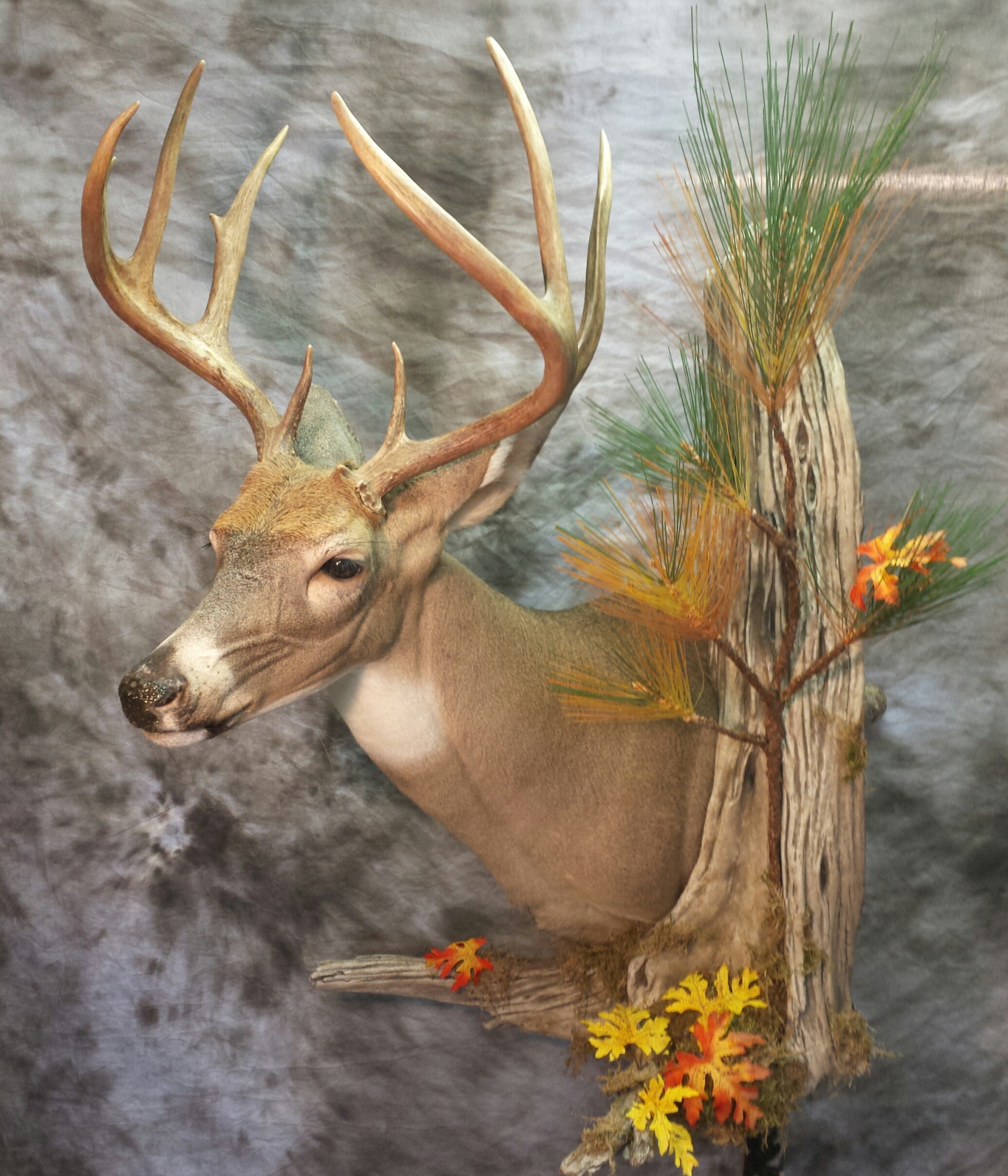 20151221_142408-1-1.jpg 20151221_142408-1-1.jpg