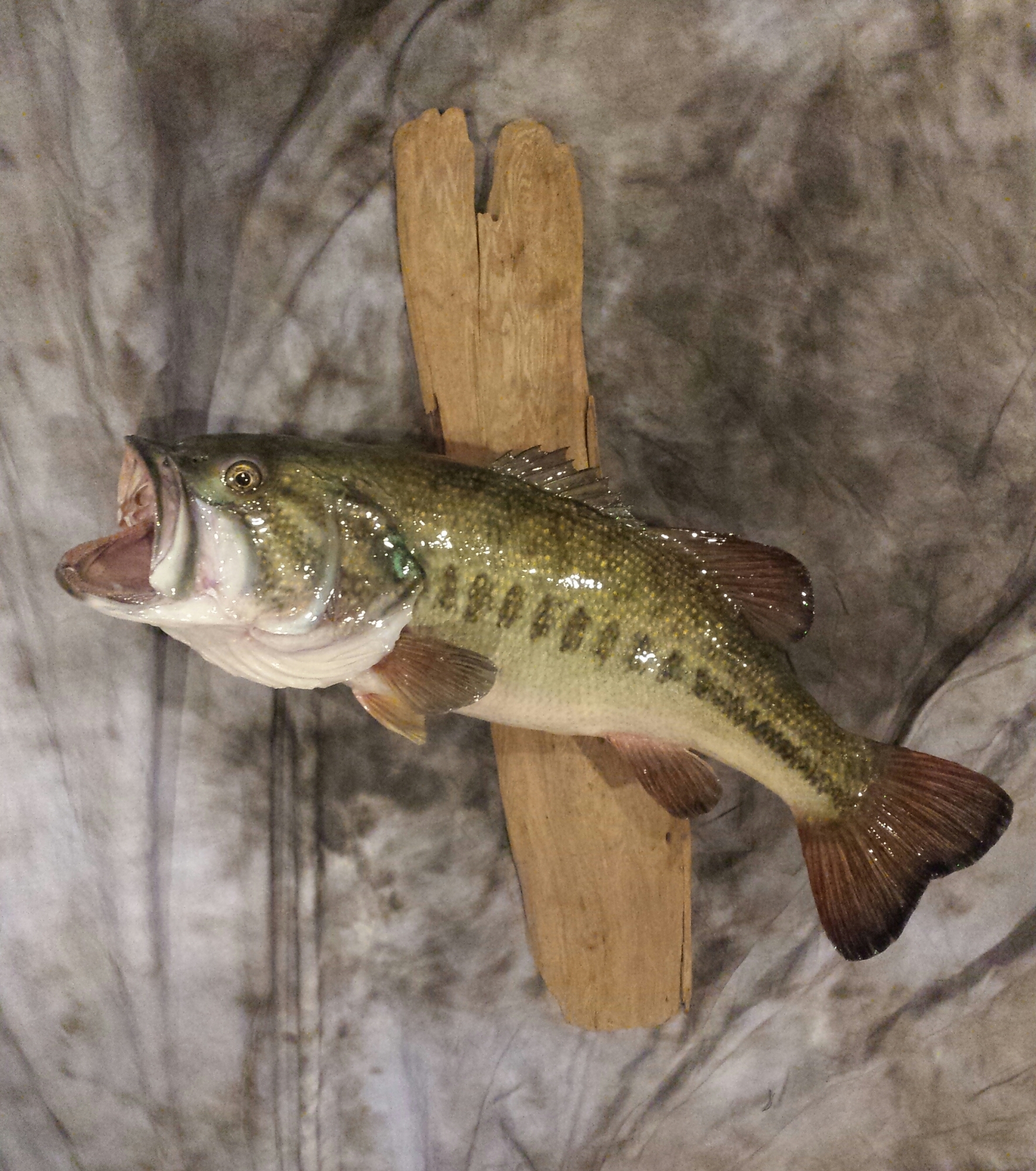 20151213_192428-1.jpg 20151213_192428-1.jpg