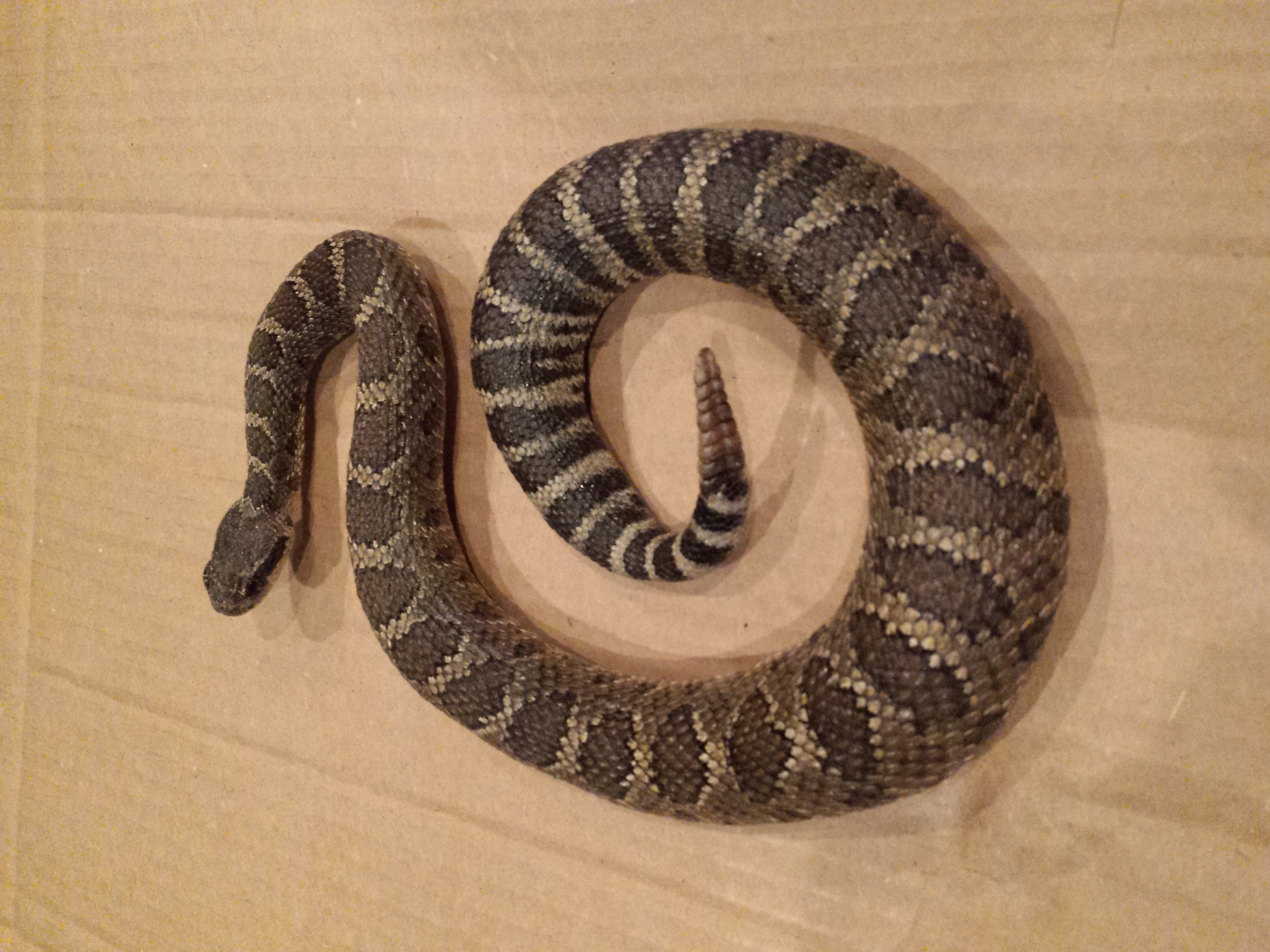 20160106_134920.jpg 20160106_134920.jpg