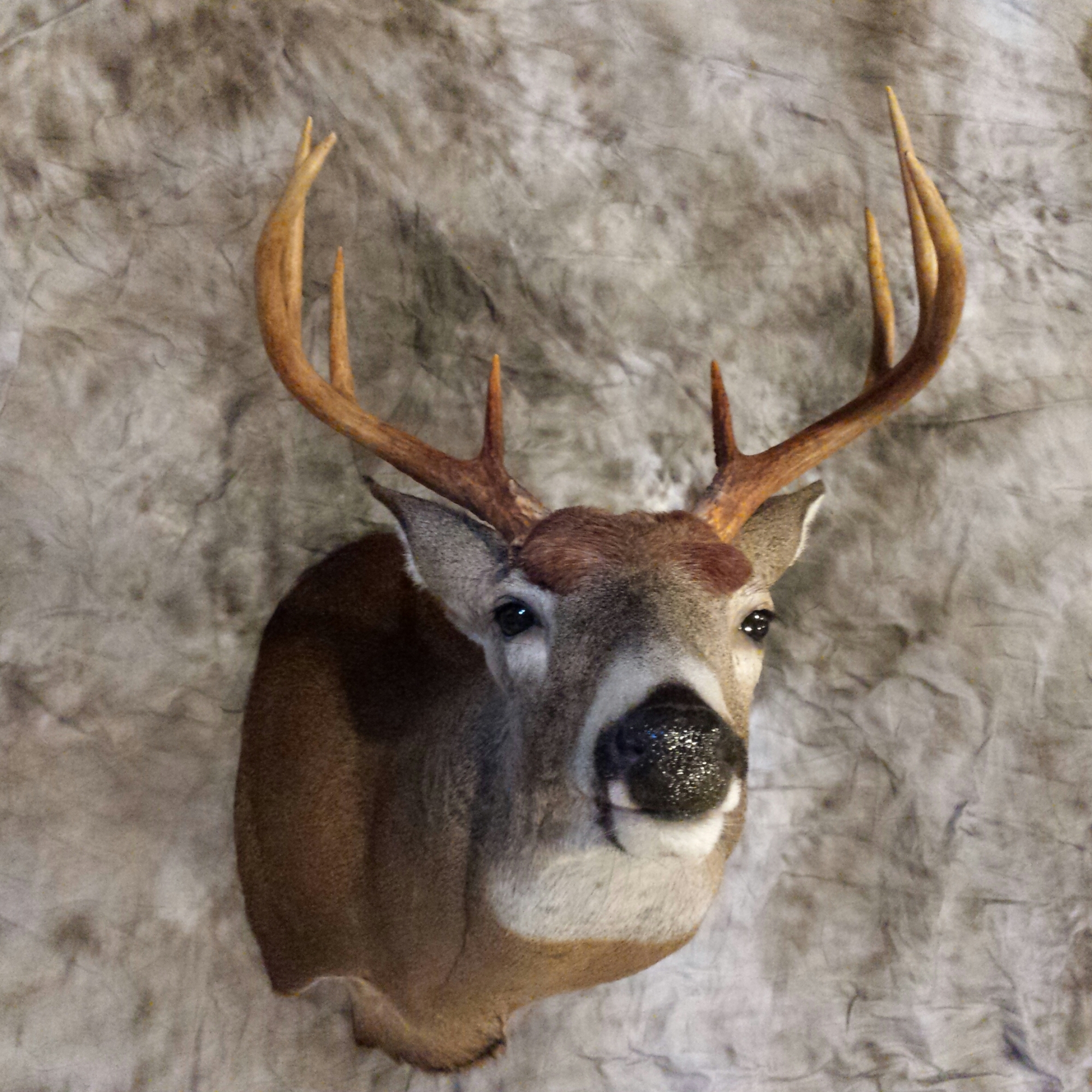 20160110_134400-1.jpg 20160110_134400-1.jpg