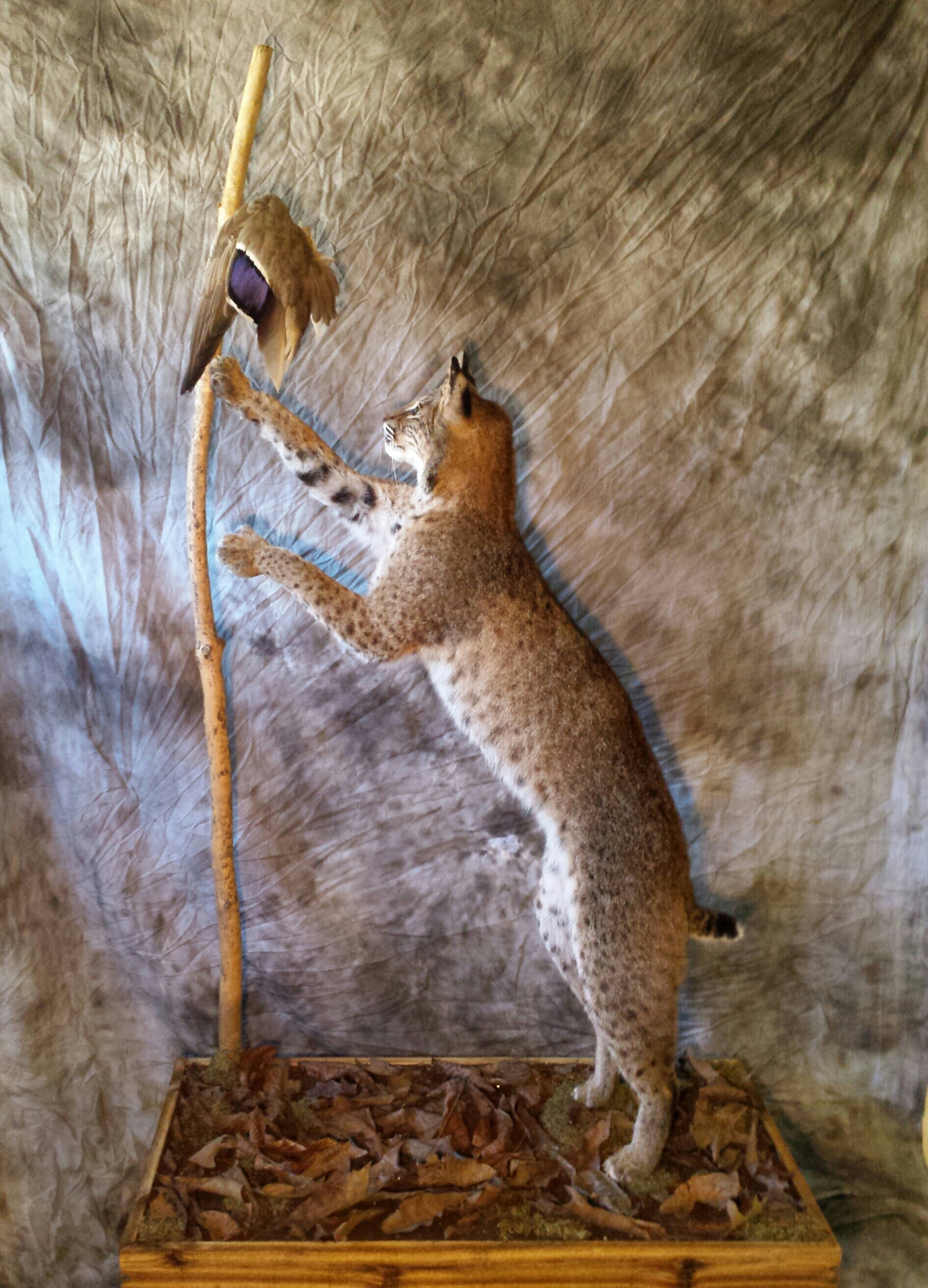 20160204_115852-1-1.jpg 20160204_115852-1-1.jpg