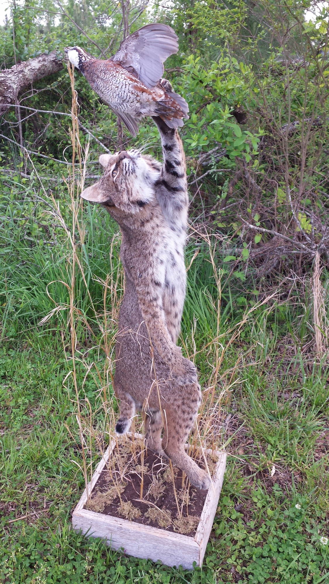 20160422_161343-1.jpg 20160422_161343-1.jpg