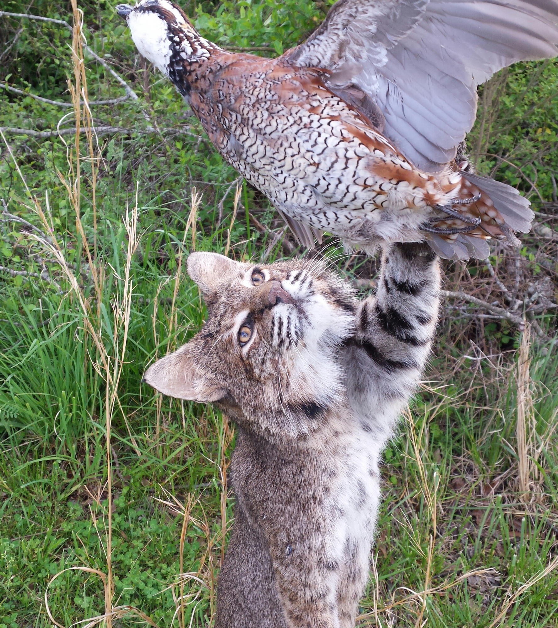 20160422_161349-1.jpg 20160422_161349-1.jpg