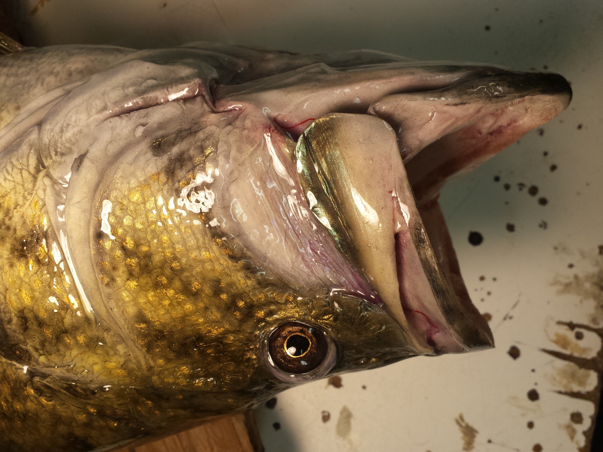 20160426_100616.jpg 20160426_100616.jpg