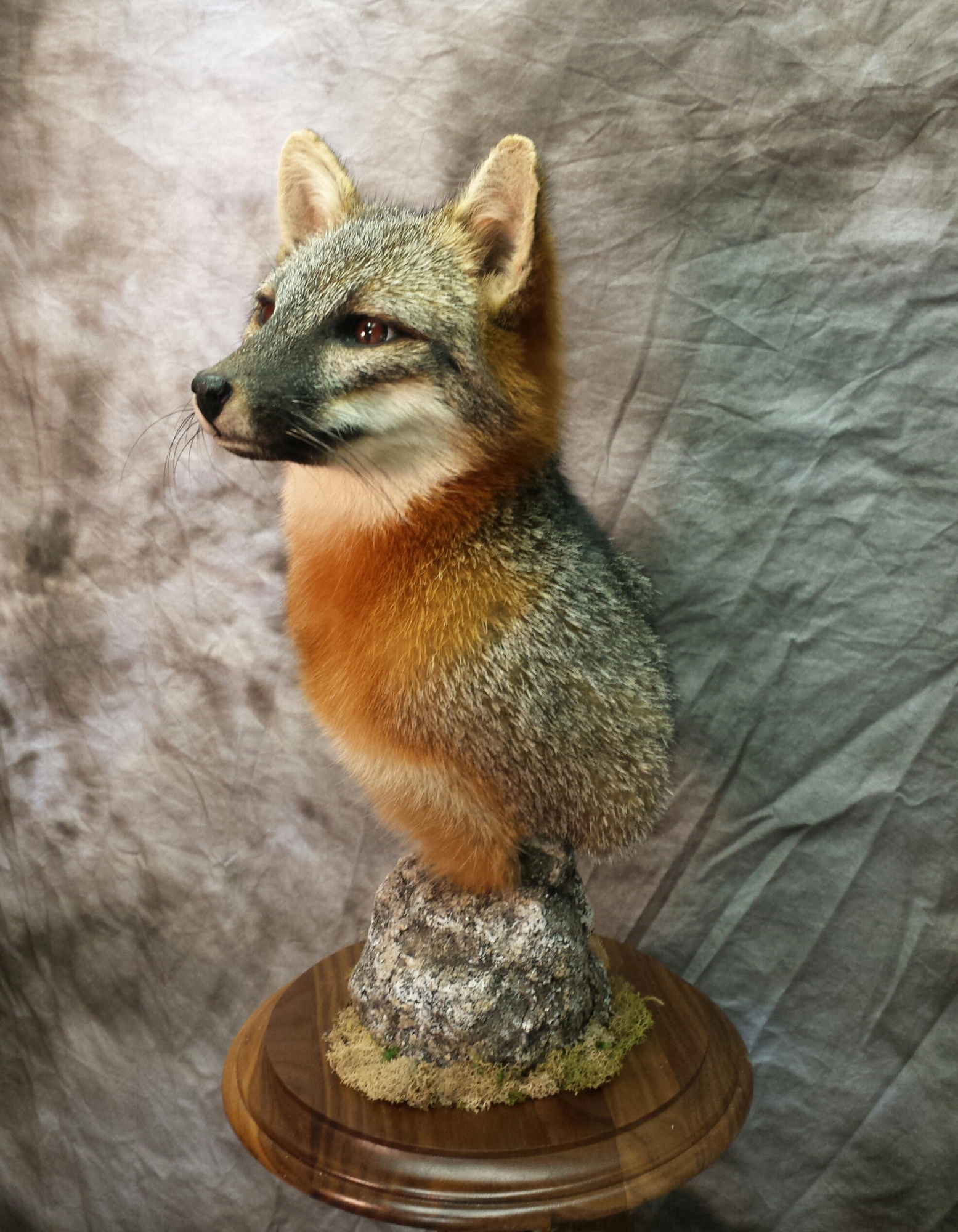 20160521_143217-1.jpg 20160521_143217-1.jpg