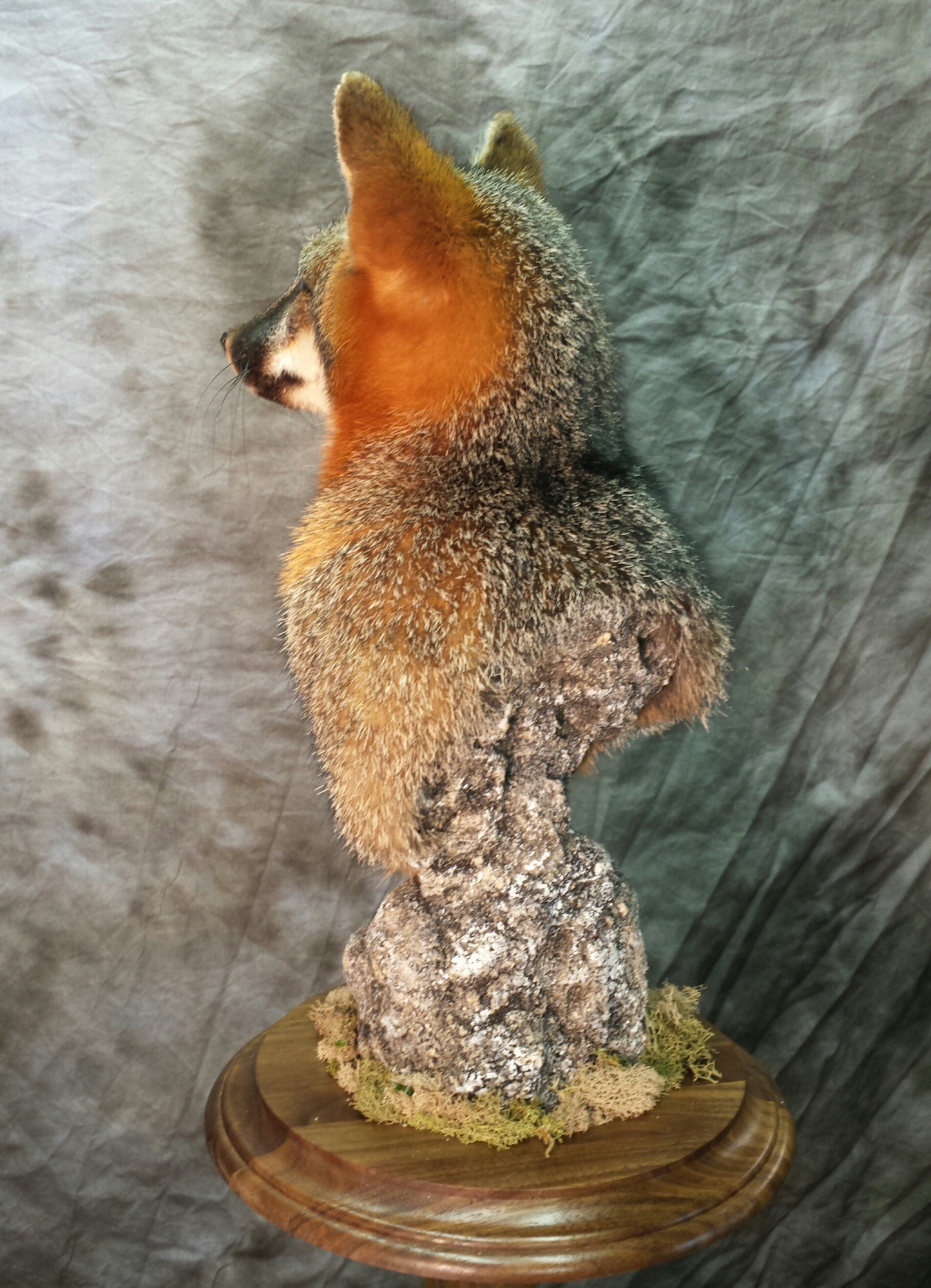 20160521_143422-1.jpg 20160521_143422-1.jpg