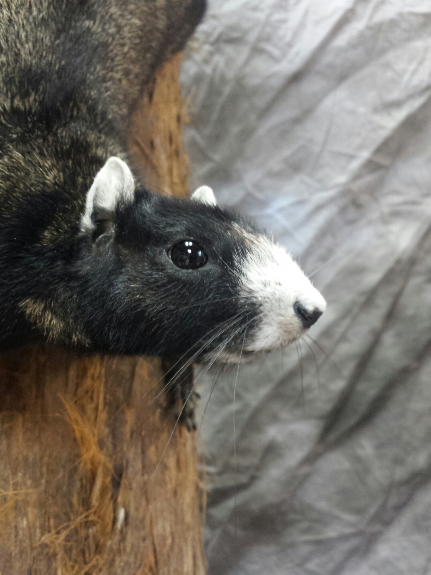 20160626_152901-1.jpg 20160626_152901-1.jpg