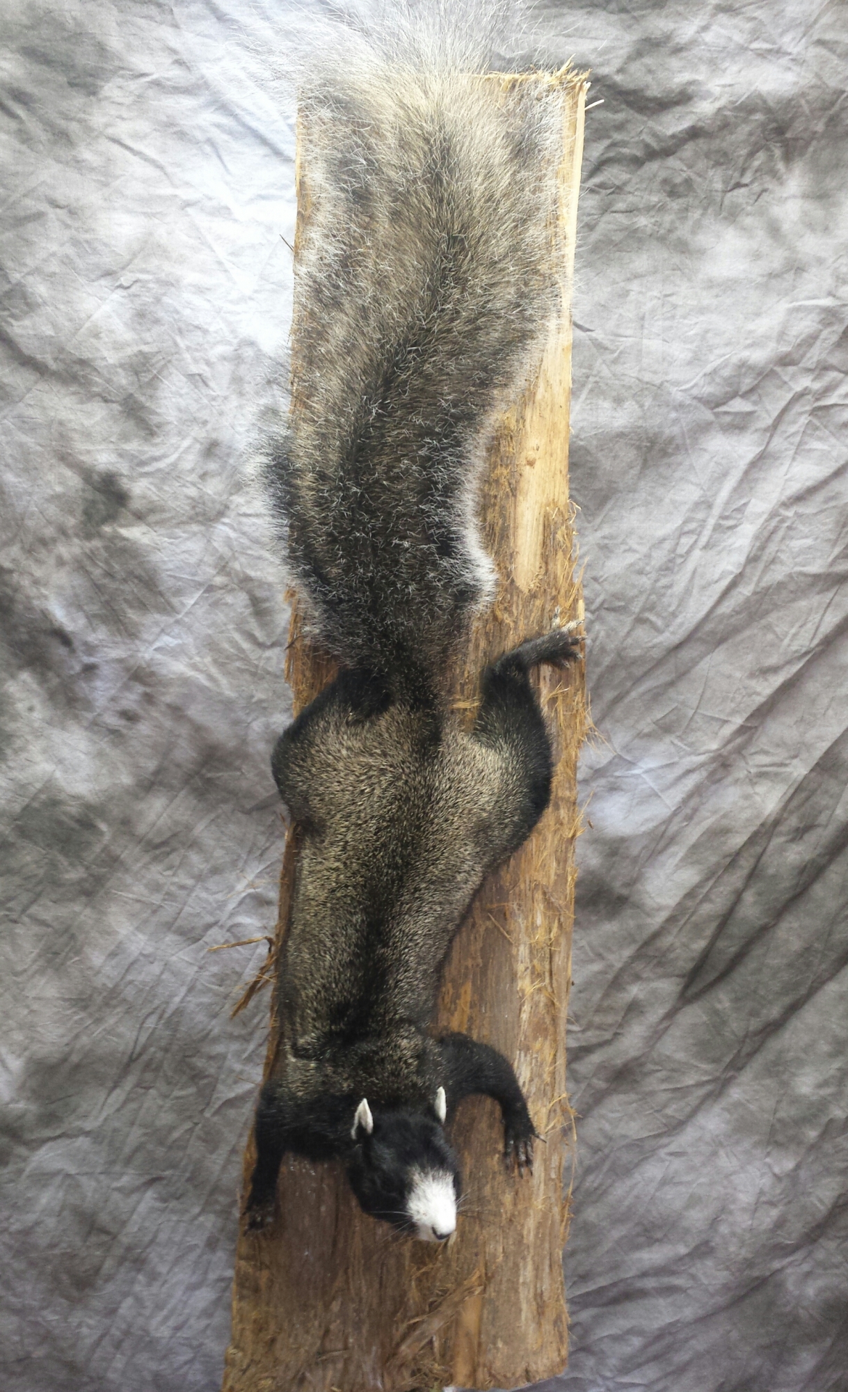 20160626_152936-1.jpg 20160626_152936-1.jpg