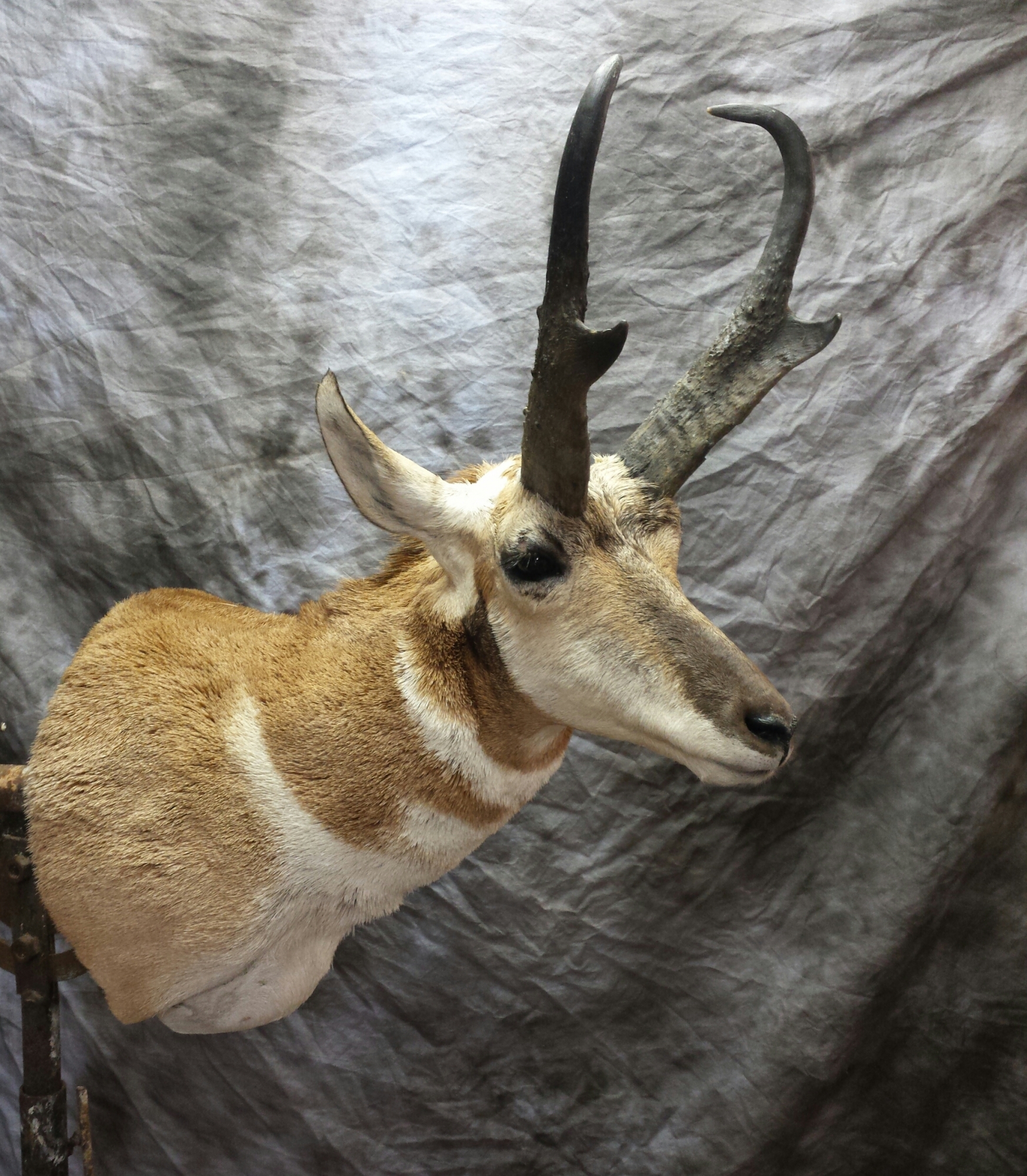 20160709_204428-1.jpg 20160709_204428-1.jpg